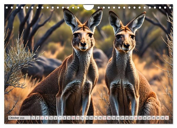Produktbild: Die Welt der K&auml;ngurus (Wandkalender 2026 DIN A4 quer), CALVENDO Monatskalender