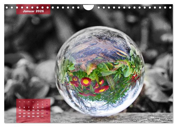 Produktbild: Die bunte Welt in der Kugel - neue Blickwinkel (Wandkalender 2026 DIN A4 quer), CALVENDO Monatskalender