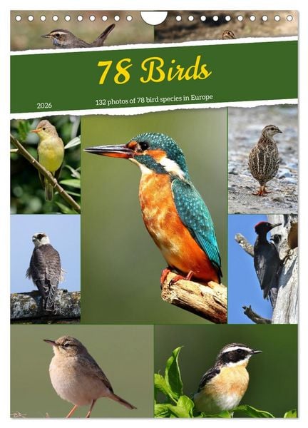 Produktbild: 78 Birds (Wall Calendar 2026 DIN A4 portrait), CALVENDO 12 Month Wall Calendar