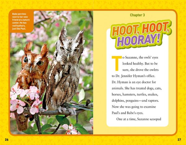 Produktbild: Hoot, Hoot, Hooray!