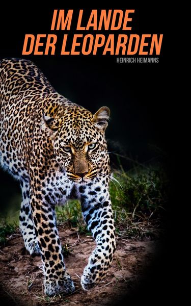 Produktbild: Im Lande der Leoparden