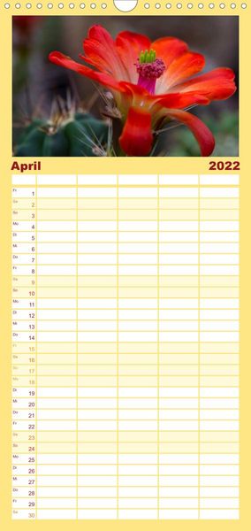 Produktbild: Bl&uuml;tensymphonie - Kakteen und Sukkulenten - Familienplaner hoch (Wandkalender 2022 , 21 cm x 45 cm, hoch)