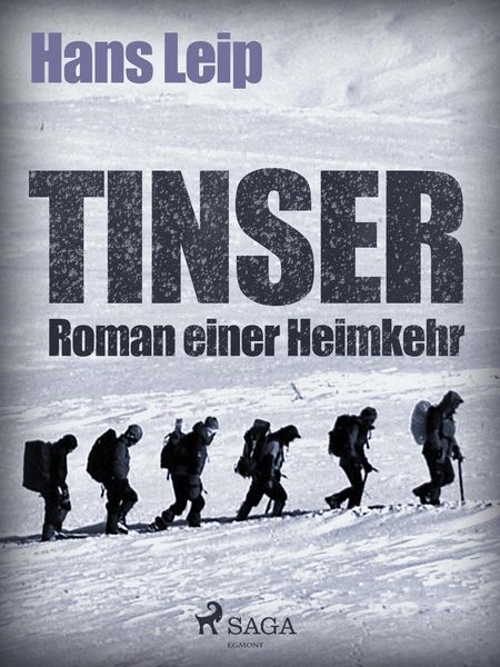 Produktbild: Tinser