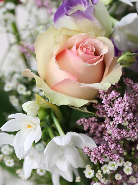 Produktbild: CALVENDO Puzzle Rose und wei&szlig;e Narzissen 1000 Teile Lege-Gr&ouml;&szlig;e 48 x 64 cm Foto-Puzzle Bild von Gisela Kruse