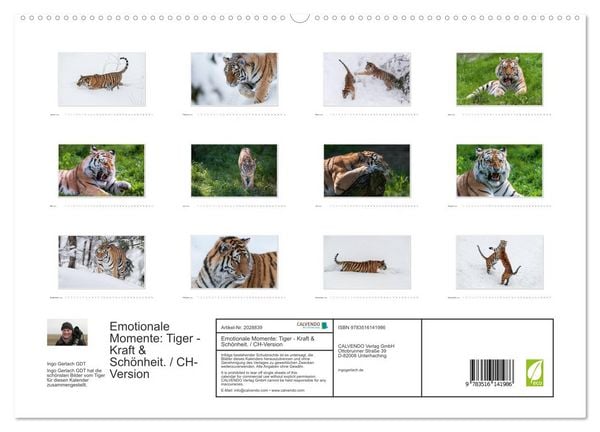 Produktbild: Emotionale Momente: Tiger - Kraft & Sch&ouml;nheit. / CH-Version (hochwertiger Premium Wandkalender 2026 DIN A2 quer), Kunstdruck in Hochglanz