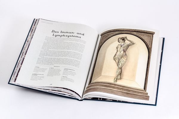 Produktbild: Das Museum des K&ouml;rpers