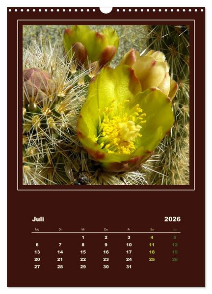 Produktbild: Wilde Kakteen Amerikas (Wandkalender 2026 DIN A3 hoch), CALVENDO Monatskalender