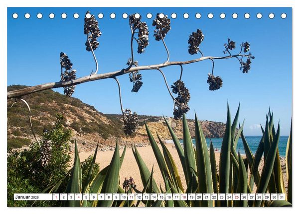 Produktbild: Algarve - Die sch&ouml;nste K&uuml;ste Europas (Tischkalender 2026 DIN A5 quer), CALVENDO Monatskalender