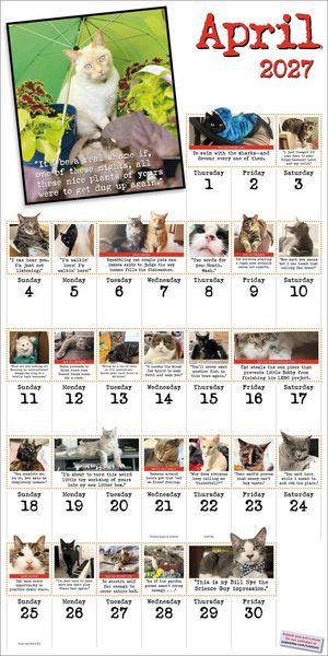 Produktbild: Bad Cat Wall Calendar 2027