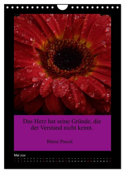 Produktbild: Lebensweisheiten mit Blumigen Gr&uuml;&szlig;en (Wandkalender 2026 DIN A4 hoch), CALVENDO Monatskalender