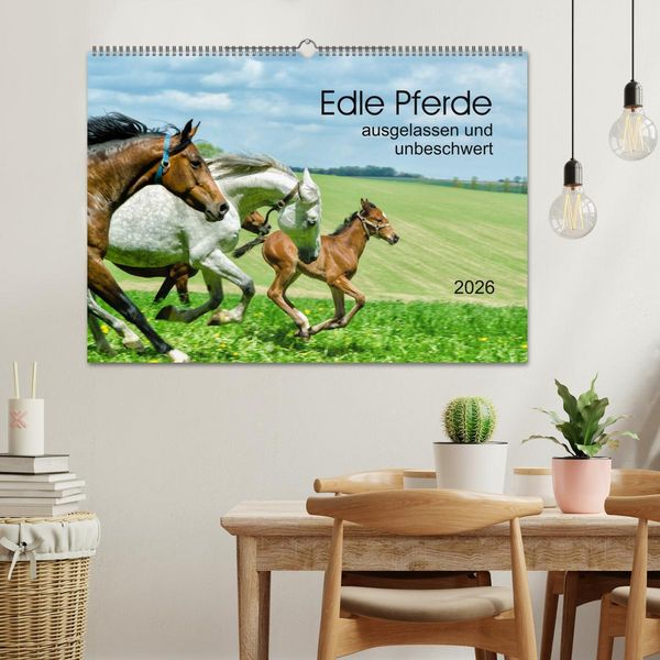 Produktbild: Edle Pferde - ausgelassen und unbeschwert (Wandkalender 2026 DIN A2 quer), CALVENDO Monatskalender