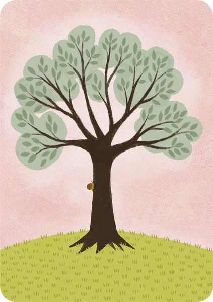 Lebe wild und voller Wunder - 50 Inspirationskarten aus der Natur