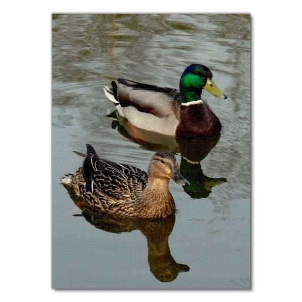 Produktbild: Lais Puzzle Ente 1000 Teile