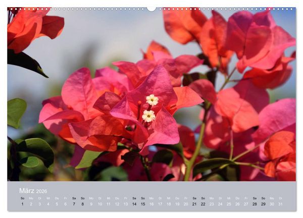Produktbild: Mexiko - ein traumhaftes Paradies (hochwertiger Premium Wandkalender 2026 DIN A2 quer), Kunstdruck in Hochglanz