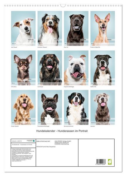 Produktbild: Hundekalender - Hunderassen im Portrait (Wandkalender 2026 DIN A2 hoch), CALVENDO Monatskalender