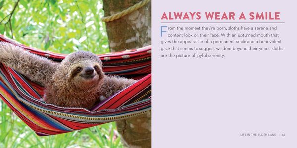 Produktbild: Life in the Sloth Lane