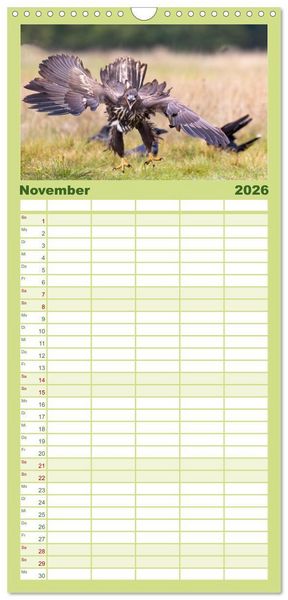 Produktbild: Familienplaner 2026 - Seeadler in Polen mit 5 Spalten (Wandkalender, 21 x 45 cm) CALVENDO