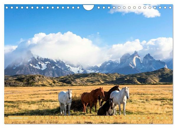 Produktbild: Patagonien - Naturwunder am Ende der Welt (Wandkalender 2026 DIN A4 quer), CALVENDO Monatskalender
