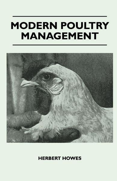 Produktbild: Modern Poultry Management