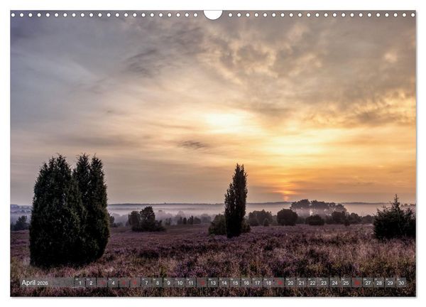 Produktbild: Die L&uuml;neburger Heide - In voller Bl&uuml;te (Wandkalender 2026 DIN A3 quer), CALVENDO Monatskalender