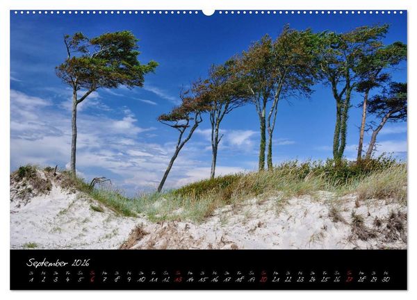Produktbild: Sommer im Fischland-Dar&szlig;-Zingst (hochwertiger Premium Wandkalender 2026 DIN A2 quer), Kunstdruck in Hochglanz
