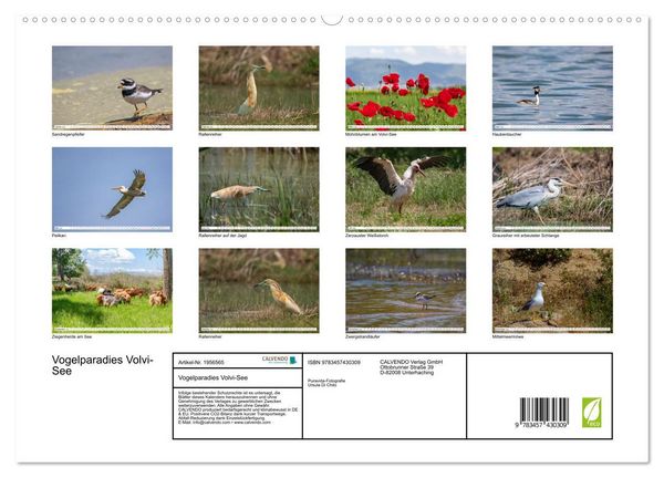 Produktbild: Vogelparadies Volvi-See (hochwertiger Premium Wandkalender 2026 DIN A2 quer), Kunstdruck in Hochglanz