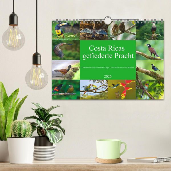 Produktbild: Costa Ricas gefiederte Pracht (Wandkalender 2026 DIN A4 quer), CALVENDO Monatskalender