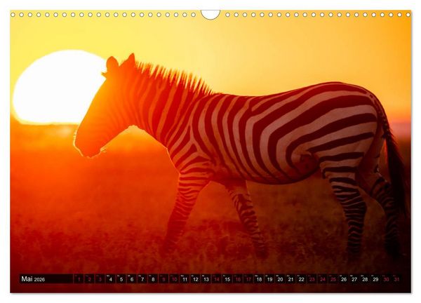 Produktbild: Safari Afrika (Wandkalender 2026 DIN A3 quer), CALVENDO Monatskalender