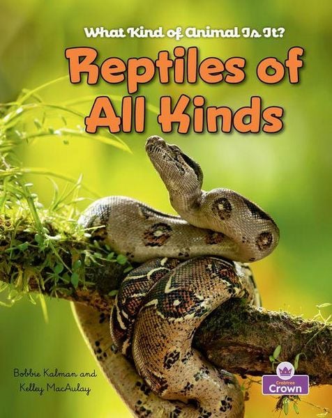 Produktbild: Reptiles of All Kinds