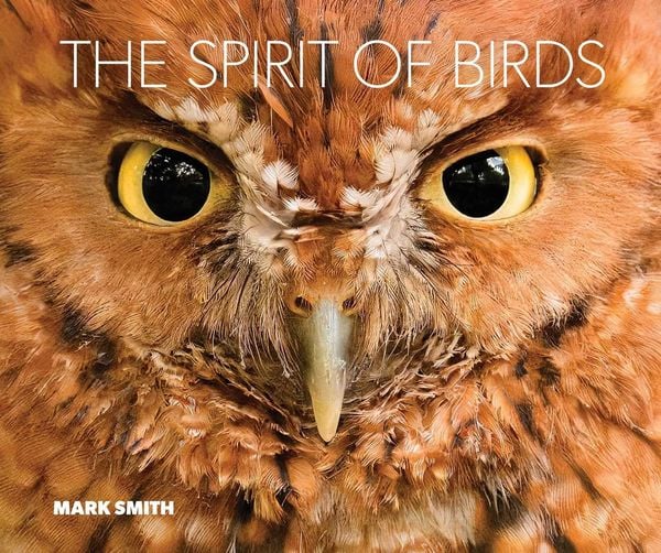 Produktbild: The Spirit of Birds