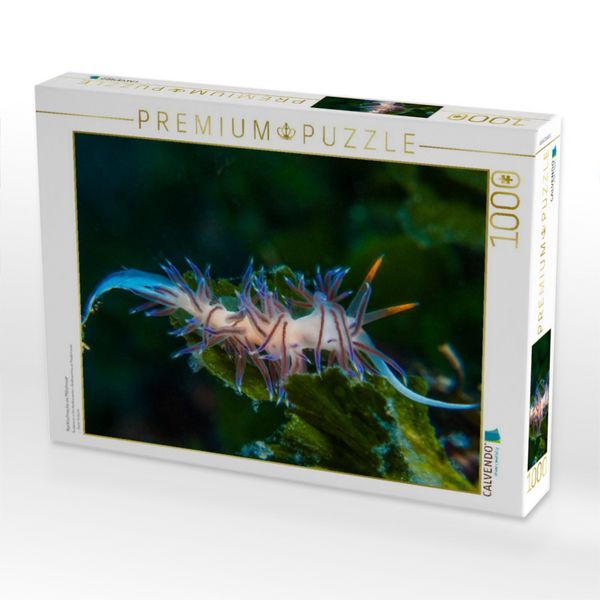 Produktbild: CALVENDO Puzzle Nacktschnecke im Mittelmeer | 1000 Teile Lege-Gr&ouml;&szlig;e 64x48cm Foto-Puzzle f&uuml;r gl&uuml;ckliche Stunden