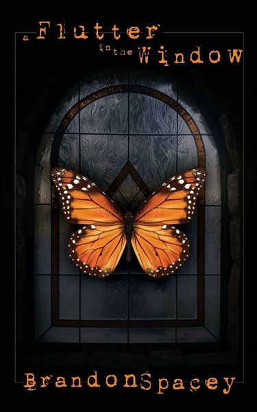 Produktbild: A Flutter in the Window