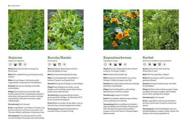 Kräutergarten