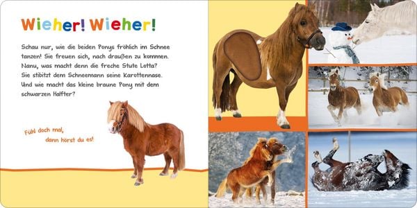 Produktbild: H&ouml;r mal rein, wer kann das sein? &ndash; Kleine Tiere im Schnee