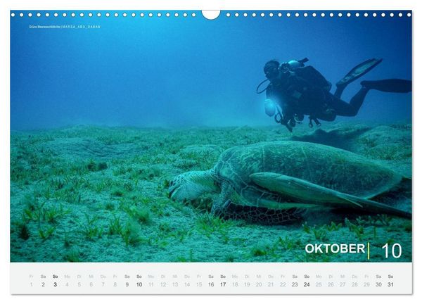 Produktbild: Die sch&ouml;nsten Korallenriffe zum Tauchen in &Auml;gypten (Wandkalender 2027 DIN A3 quer), CALVENDO Monatskalender