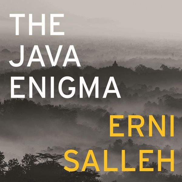 Produktbild: The Java Enigma