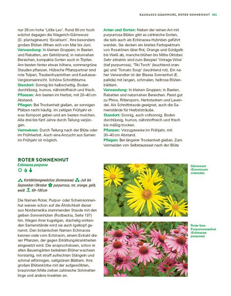 Produktbild: Das gro&szlig;e Buch der Stauden und Sommerblumen