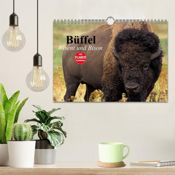 Produktbild: B&uuml;ffel. Wisent und Bison (Wandkalender 2026 DIN A4 quer), CALVENDO Monatskalender