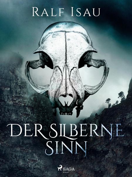 Produktbild: Der silberne Sinn