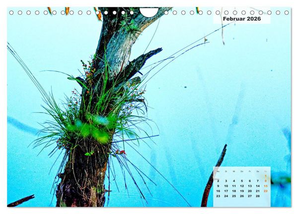 Produktbild: Niedersachsens Moorlandschaften - Das Pietzmoor, Schneverdingen (Wandkalender 2026 DIN A4 quer), CALVENDO Monatskalender