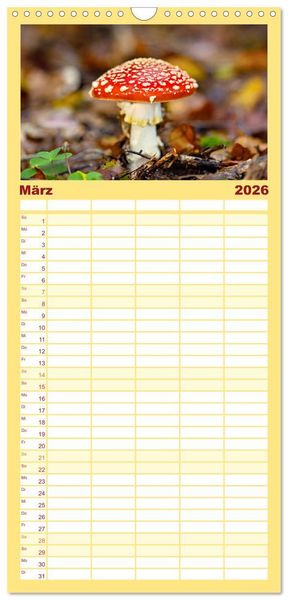 Produktbild: Familienplaner 2026 - Fantastische Pilzwelten mit 5 Spalten (Wandkalender, 21 x 45 cm) CALVENDO