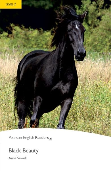 Produktbild: Level 2: Black Beauty
