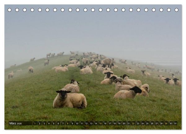 Produktbild: Impressionen aus dem Wesermarsch - Butjadingen 2026 (Tischkalender 2026 DIN A5 quer), CALVENDO Monatskalender