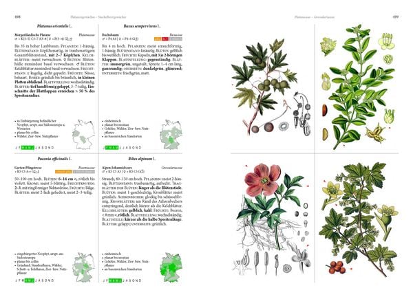 Produktbild: Die Flora von Deutschland. Alle heimischen Arten