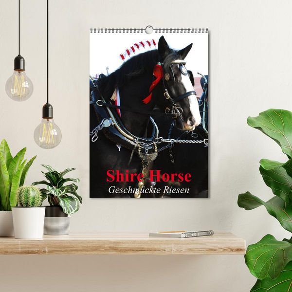 Produktbild: Shire Horse - Geschm&uuml;ckte Riesen (Wandkalender 2026 DIN A3 hoch), CALVENDO Monatskalender
