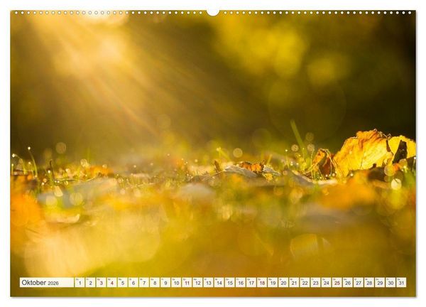 Produktbild: Feine Formen der Natur (hochwertiger Premium Wandkalender 2026 DIN A2 quer), Kunstdruck in Hochglanz