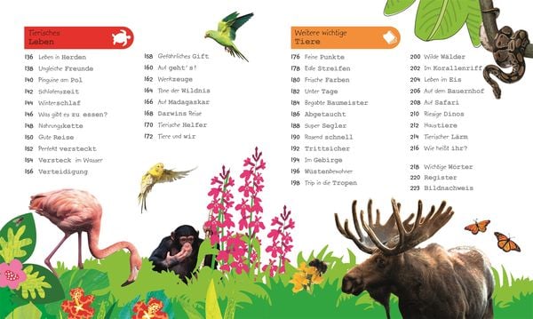 Wissen für Vorschulkids. Was weißt du über Tiere?