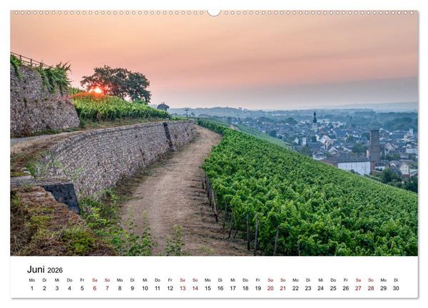 Produktbild: Rheingau 2026 (hochwertiger Premium Wandkalender 2026 DIN A2 quer), Kunstdruck in Hochglanz