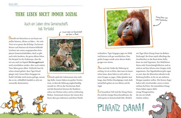 Produktbild: Wie Tiere denken und f&uuml;hlen