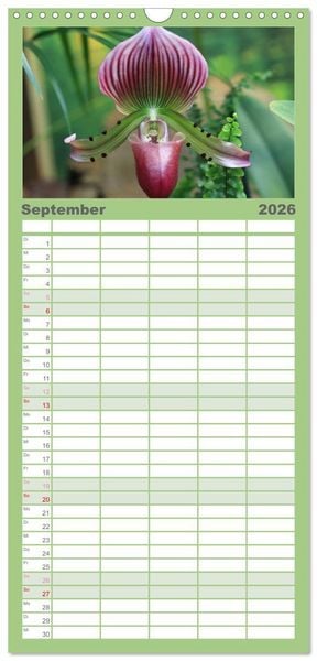 Produktbild: Familienplaner 2026 - Pr&auml;chtige Orchideen mit 5 Spalten (Wandkalender, 21 x 45 cm) CALVENDO